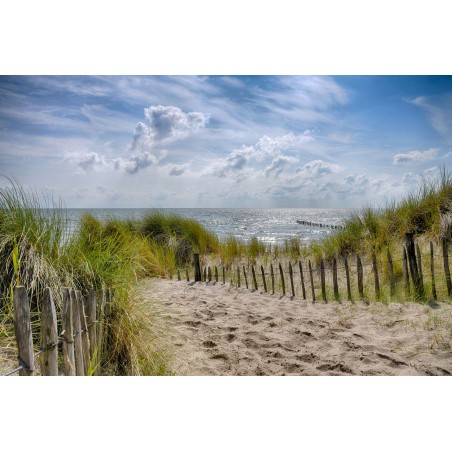 Fotowand strand en duinen Markerwadden