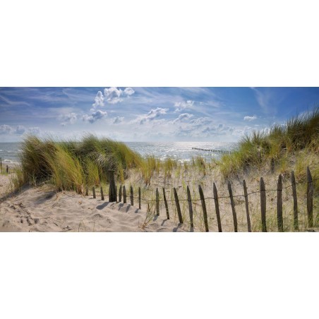 Fotowand strand en duinen Markerwadden